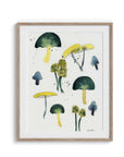 'Mushroom' Watercolor Art Print